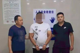 中原遇到恶意拖欠？专业追讨公司帮您解决烦恼