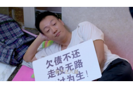 中原专业催债公司的市场需求和前景分析